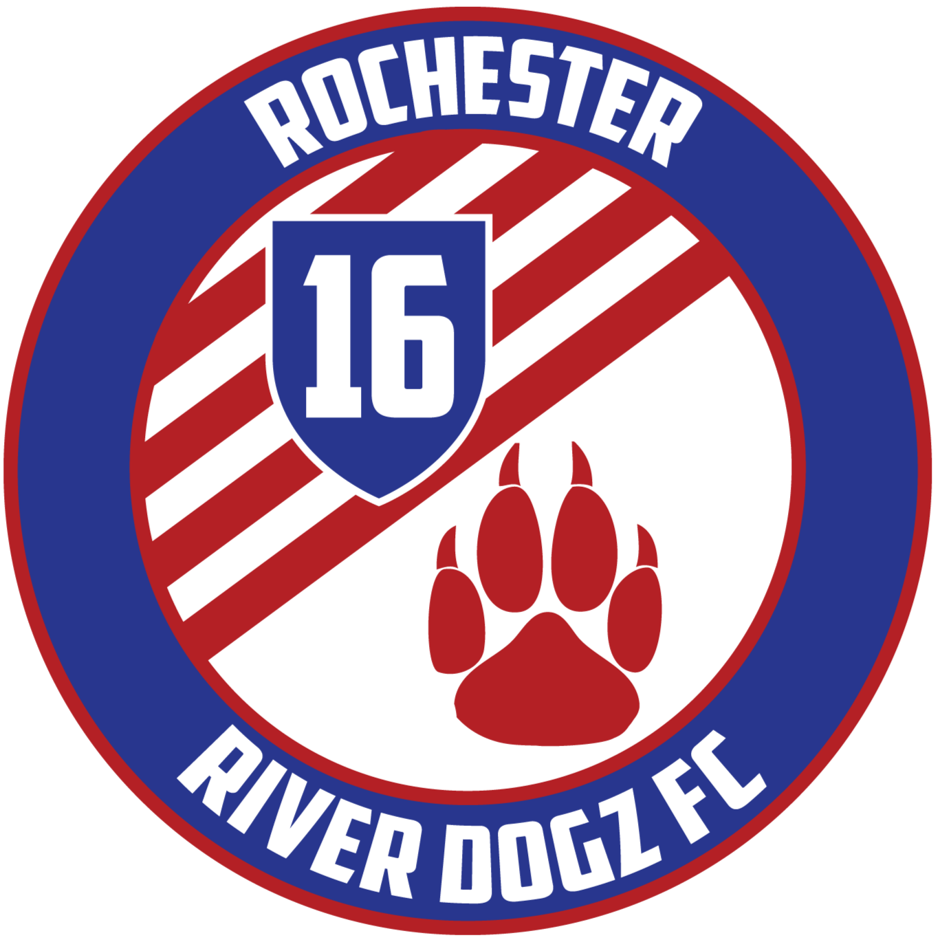 Rochester River DogZ FC 2016-Pres Primary Logo t shirt iron on transfers